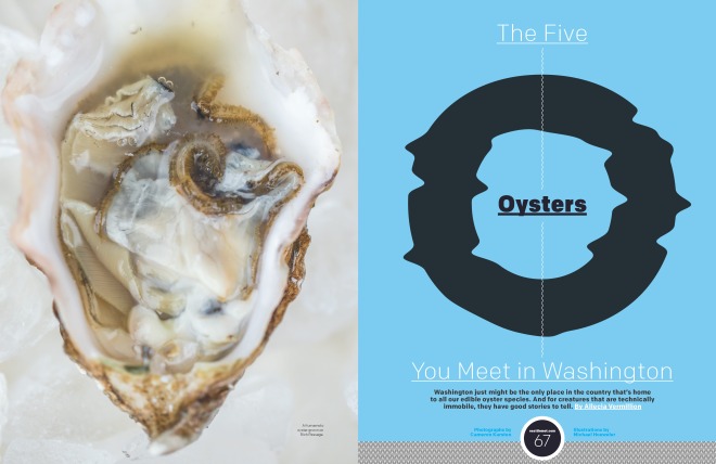 0316_66-73_Oyster_Page_1
