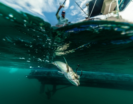 © Cameron Karsten Photography with Grundens in Costa Rica for sport fishing